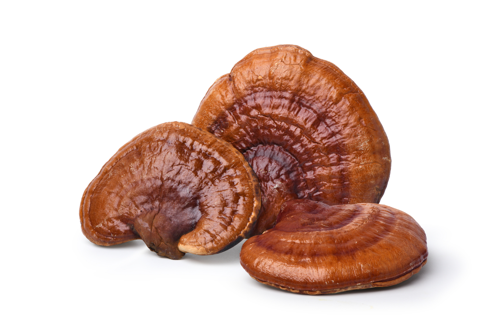 Red,Reishi,Mushroom,(lingzhi),Isolated,On,White,Background.,Clipping,Path.