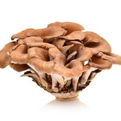 maitake