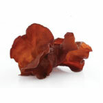 BIO prek Auricularia