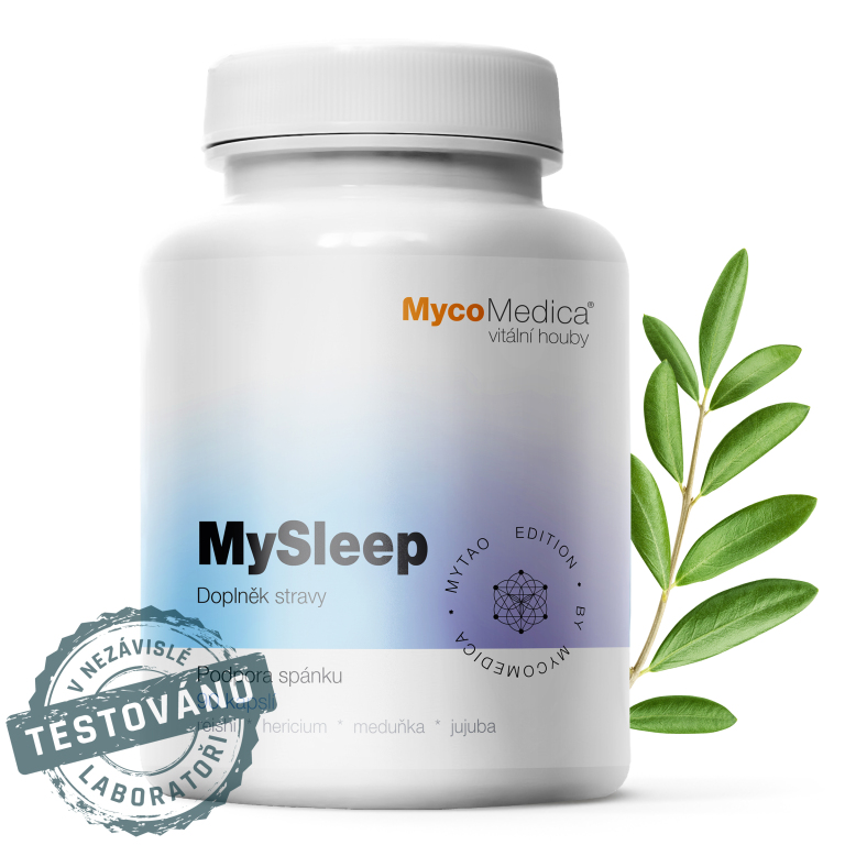 MySleep_detail s razitkem kopie