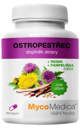 Ostropestec