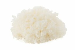 BIO extrakt Tremella Fuciformis 30%